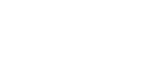 shreenu impex-white logo